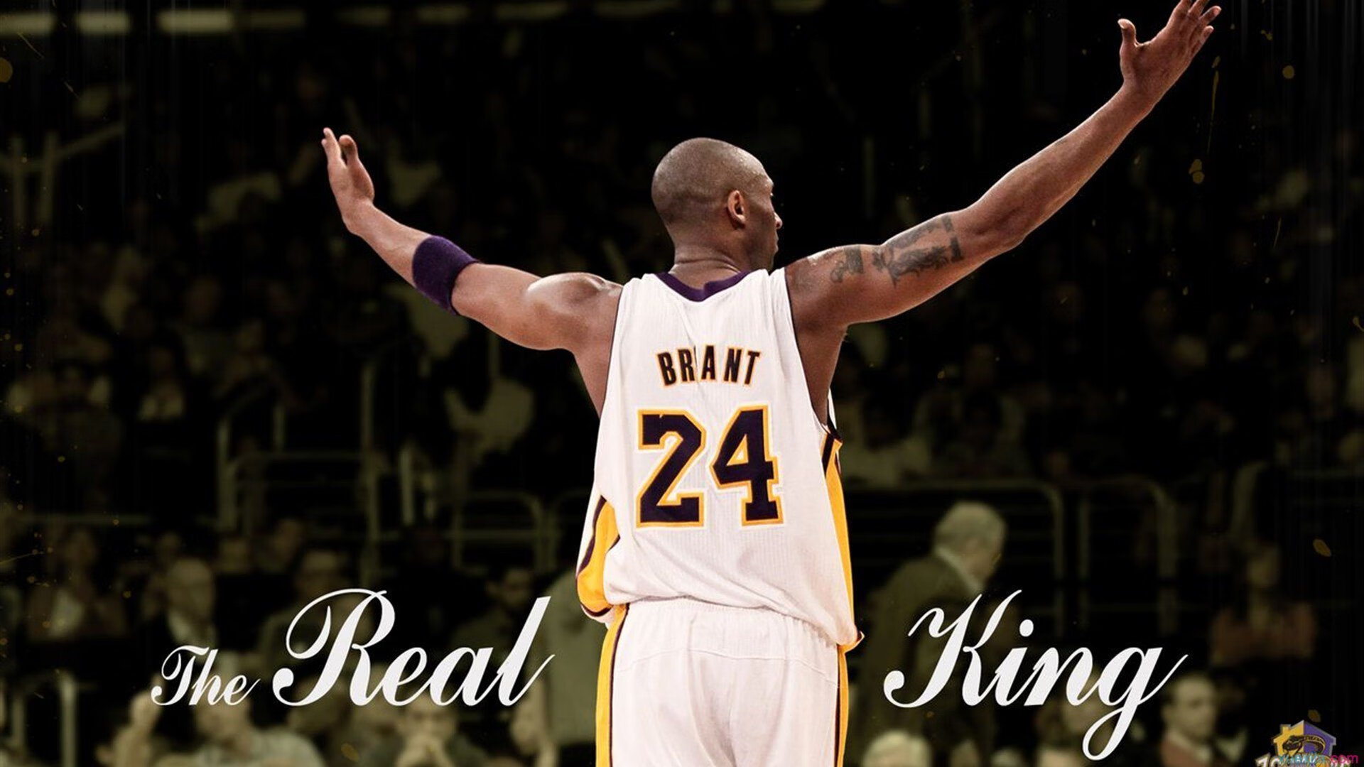 赖斯存在感拉满的NBA季后赛之夜，当篮球场响起米饭颂歌